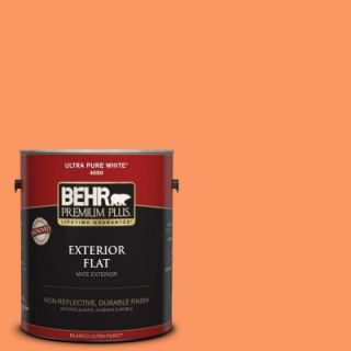 BEHR Premium Plus 1 gal. #230B 5 Indian Paint Brush Flat Exterior Paint 430001