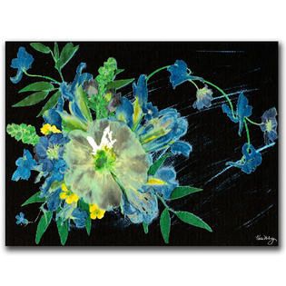 Trademark Fine Art Kathie McCurdy Meteor Shower 18 x 24 Canvas Art