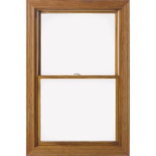 ProLine 450 Series Wood Double Pane Annealed New Construction Double Hung Window (Rough Opening 36.25 in x 38.25 in Actual 35.5 in x 37.5 in)
