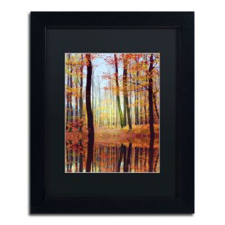 Philippe Sainte Laudy Fall Mirror Framed Matted Art   16976772