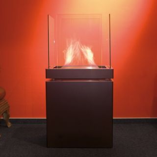 Semi Flame Ethanol Fireplace by Radius Design