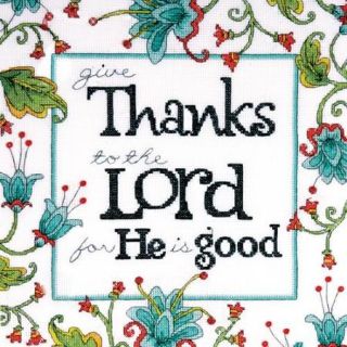 Heartfelt Give Thanks Counted Cross Stitch Kit 10"X10" 14 Count