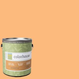 Colorhouse 1 gal. Sprout .02 Flat Interior Paint 471122