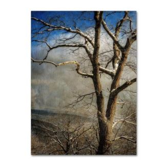 Trademark Fine Art 24 in. x 16 in. Tree in Winter Canvas Art LBr0207 C1624GG