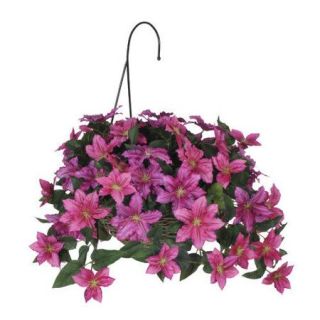 House of Silk Flowers Inc. Artificial Clematis Hanging Plant in Basket