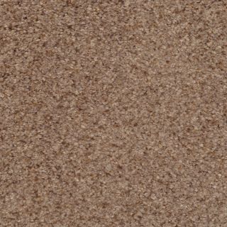 STAINMASTER Active Family Special Occasion Expressway Textured Indoor Carpet