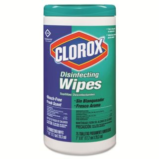 Clorox Disinfecting Wipes (Case of 6)   12338792  