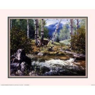 Rocky Mountain Deer Poster Print by Jack Sorenson (20 x 16)