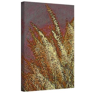 Dean Uhlinger Canyon Grass Gallery wrapped Canvas  