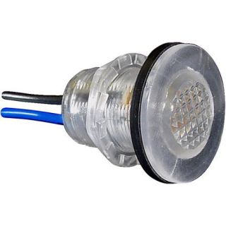SeaSense LED Utility/Livewell Light, Blue