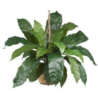 Nearly Natural Nearly Natural Birds Nest Fern Hanging Plant in Basket