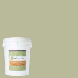 Colorhouse 5 gal. Glass .03 Flat Interior Paint 591335