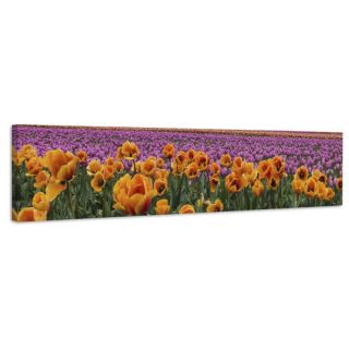 Tulip Explosion Painting Print on Wrapped Canvas by Marmont Hill