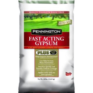 Pennington 30 lb. Fast Acting Gypsum Plus AST Dry Lawn Fertilizer 423008