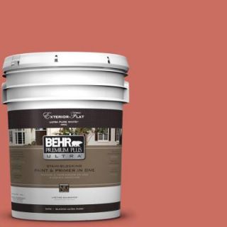 BEHR Premium Plus Ultra 5 gal. #M170 6 Dash of Curry Flat Exterior Paint 485305