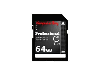 Patriot LX 64GB Secure Digital Extended Capacity (SDXC) Flash Card Model PSF64GSDXC10