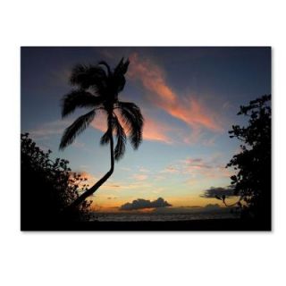 Trademark Fine Art 30 in. x 47 in. Tropical Sunset Canvas Art PL0071 C3047GG