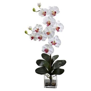 Nearly Natural Double Giant Phalaenopsis with Vase
