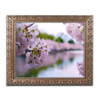Trademark Art Cherry Blossoms 2014 2 by CATeyes Framed Photographic