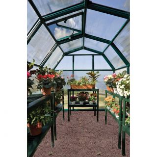 EcoGrow 2 Twin Wall 6.5 Ft. W x 12.5 Ft. D Polycarbonate Greenhouse by