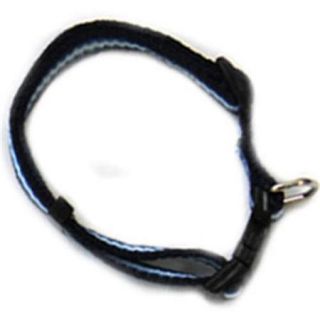 Iconic Pet 91908 Rainbow Adjustable Dog Collar   Blue   Small