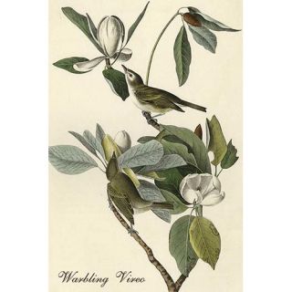Warbling Vireo by John James Audubon Graphic Art by Buyenlarge