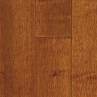 Wildon Home ® 2 1/4 Solid Maple Hardwood Flooring in Cinnamon