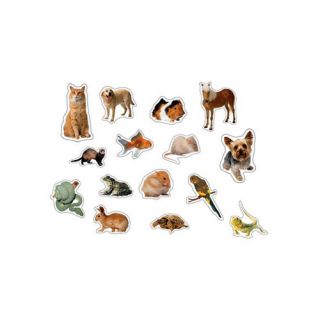 Pets Photographic Sticker