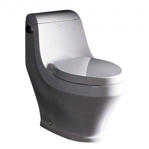 Ariel Bath TB133M Toilet, Contemporary European Toilet w/Single Flush   White