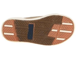 Sperry Top Sider Kids Halyard H&L (Toddler/Little Kid)