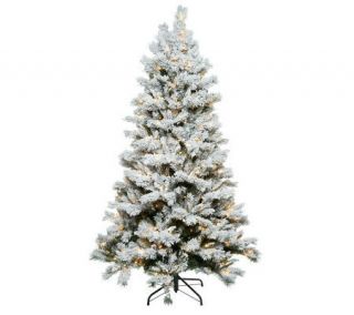 Santas Best 6.5 Flocked Sherwood Spruce Christmas Tree w/ Easy Power —