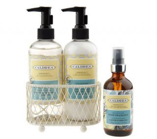 Caldrea Scented Hand Soap & Lotion Set with Room Freshener —