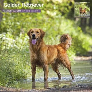 Steel Golden Retriever Dog 2015 Wall Calendar