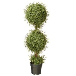 National Tree Company 48 in. Mini Tea Leaf 2 Ball Topiary with Dark Green Round Pot LTLM4 701 48