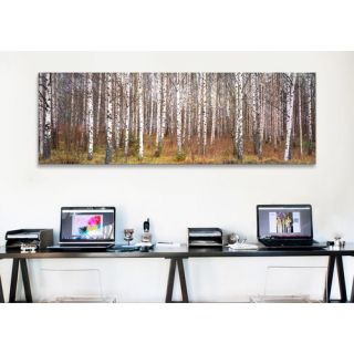 iCanvas Panoramic Birch Trees in a Forest Photographic Print on Canvas