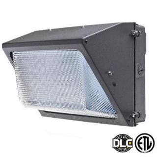 Axis LED Lighting 60 Watt Bronze 5000K LED Outdoor Wall Pack with Glass Refractor Natural White AEP60WPDS