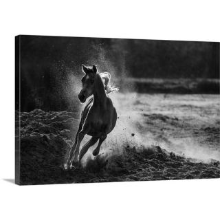 Take Off by Mohammed Alnaser Photographic Print on Canvas by Great Big