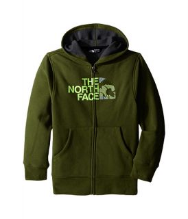 The North Face Kids Logowear Full Zip Hoodie (Little Kids/Big Kids) Terrarium Green