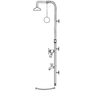 Outdoor Shower Company PM 750 PCV ADA Pull Chain Wall Mount Cold Water ADA Foot Shower with 6 Sunflower Shower Head and Hose Bib