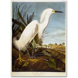 Trademark Fine Art "Snowy Heron" Canvas Art by John James Audubon
