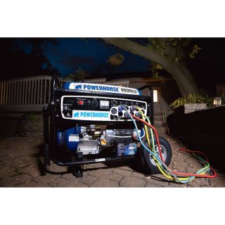 750142. Powerhorse Portable Generator — 9000 Surge Watts, 7250 Rated Watts, Electric Start