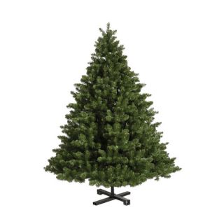 Vickerman 9.5 Grand Teton Christmas Tree