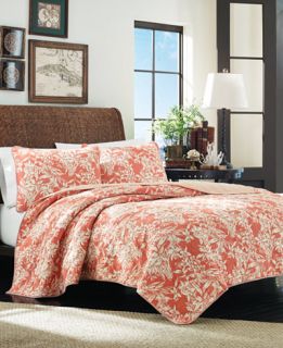 Tommy Bahama Home Orchid Retreat Full/Queen Quilt   Quilts